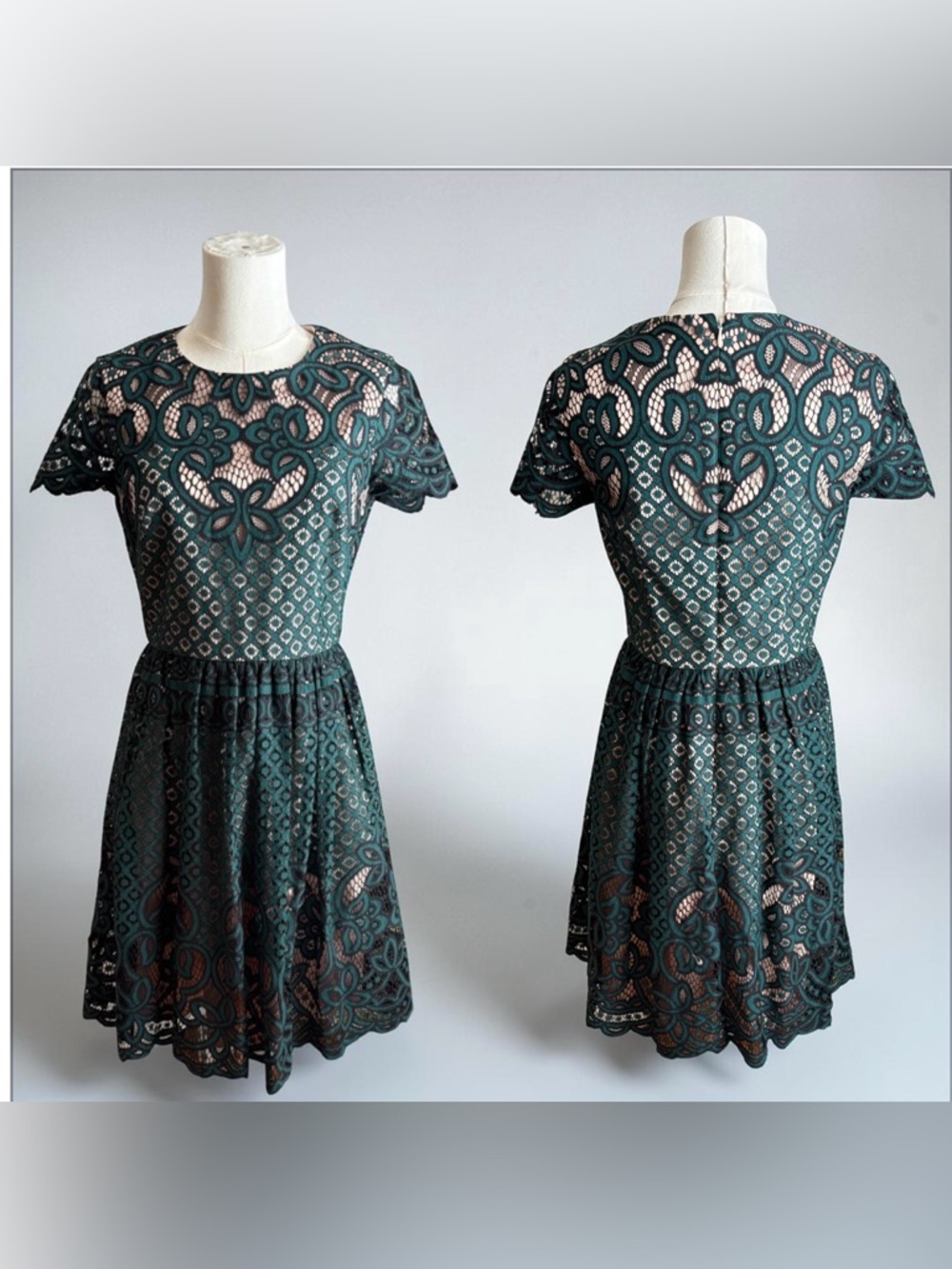 Eliza J Lace Fit-and-Flare Dress in Dark Green - Picture 3 of 6